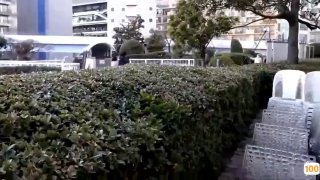 【V888AV】白衣甜美长腿萌妹，口交舔弄大力抽插后入猛操呻吟娇喘